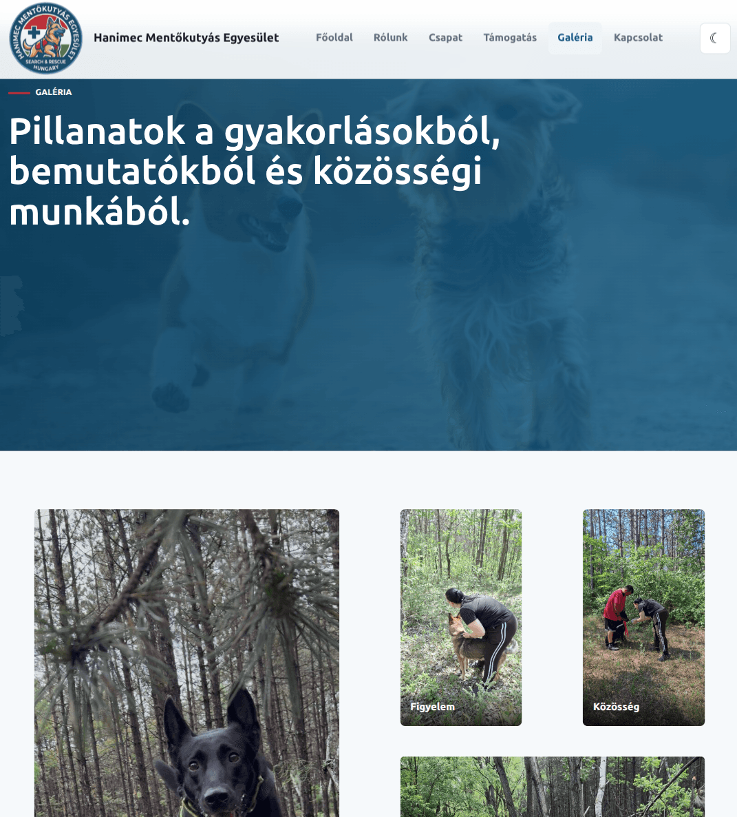 Hanimec projekt előnézet